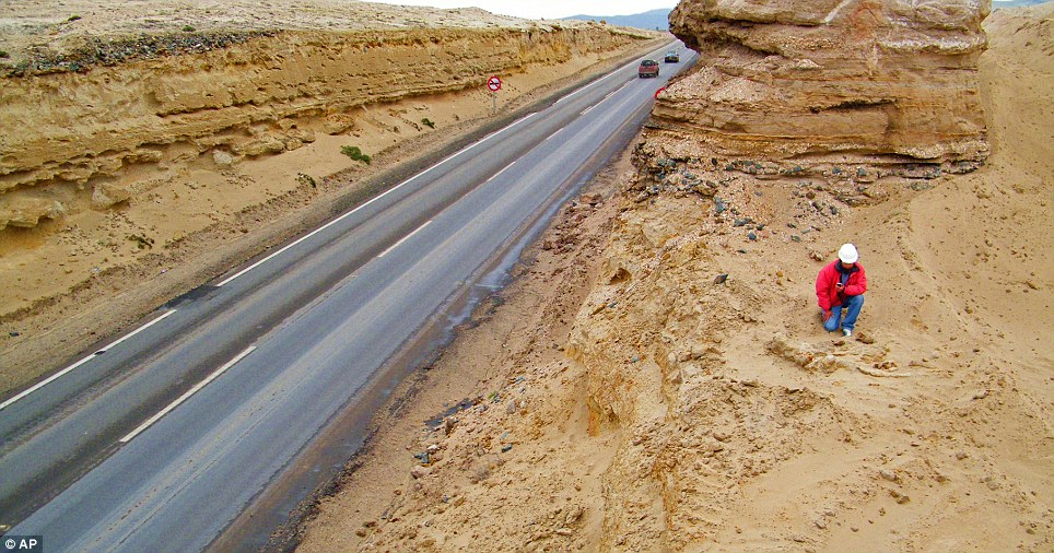 Digging: The bones were found during a highway-widening project in 2010. Locals had seen bones poking through the ground but were unaware there were so many